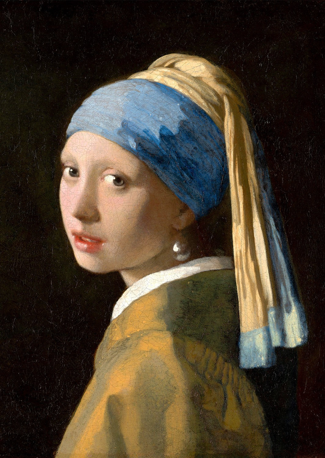 1000 Pieces Jigsaw Puzzle - Johannes Vermeer: Girl with a Pearl Earring (1164)