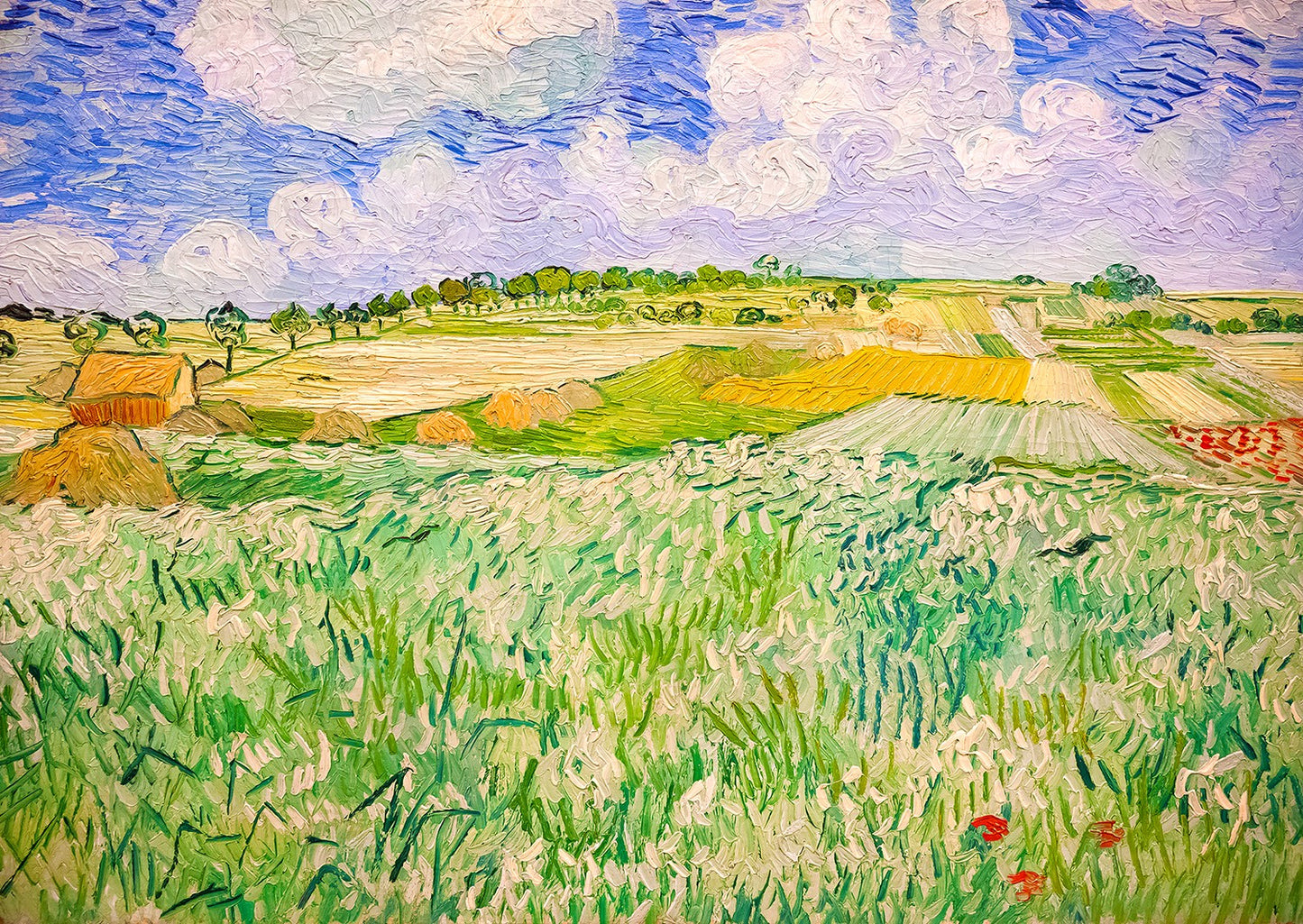 1000 Pieces Jigsaw Puzzle - Vincent Van Gogh: Plain near Auvers (1176)