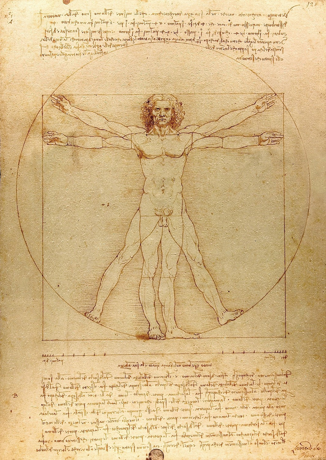 1000 Pieces Jigsaw Puzzle - Leonardo Da Vinci: The Vitruvian Man (1557)