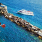 1000 Pieces Jigsaw Puzzle - Manarola (1080)