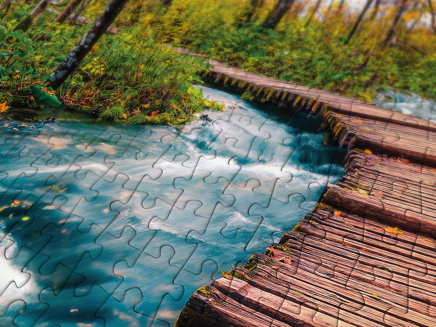 1000 Pieces Jigsaw Puzzle - Forest Stream in Plitvice (1089)