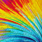 1000 Pieces Jigsaw Puzzle - Colorful Paint Swirl (1095)