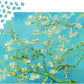 1000 Pieces Jigsaw Puzzle - Vincent Van Gogh: Almond Blossom (1125)