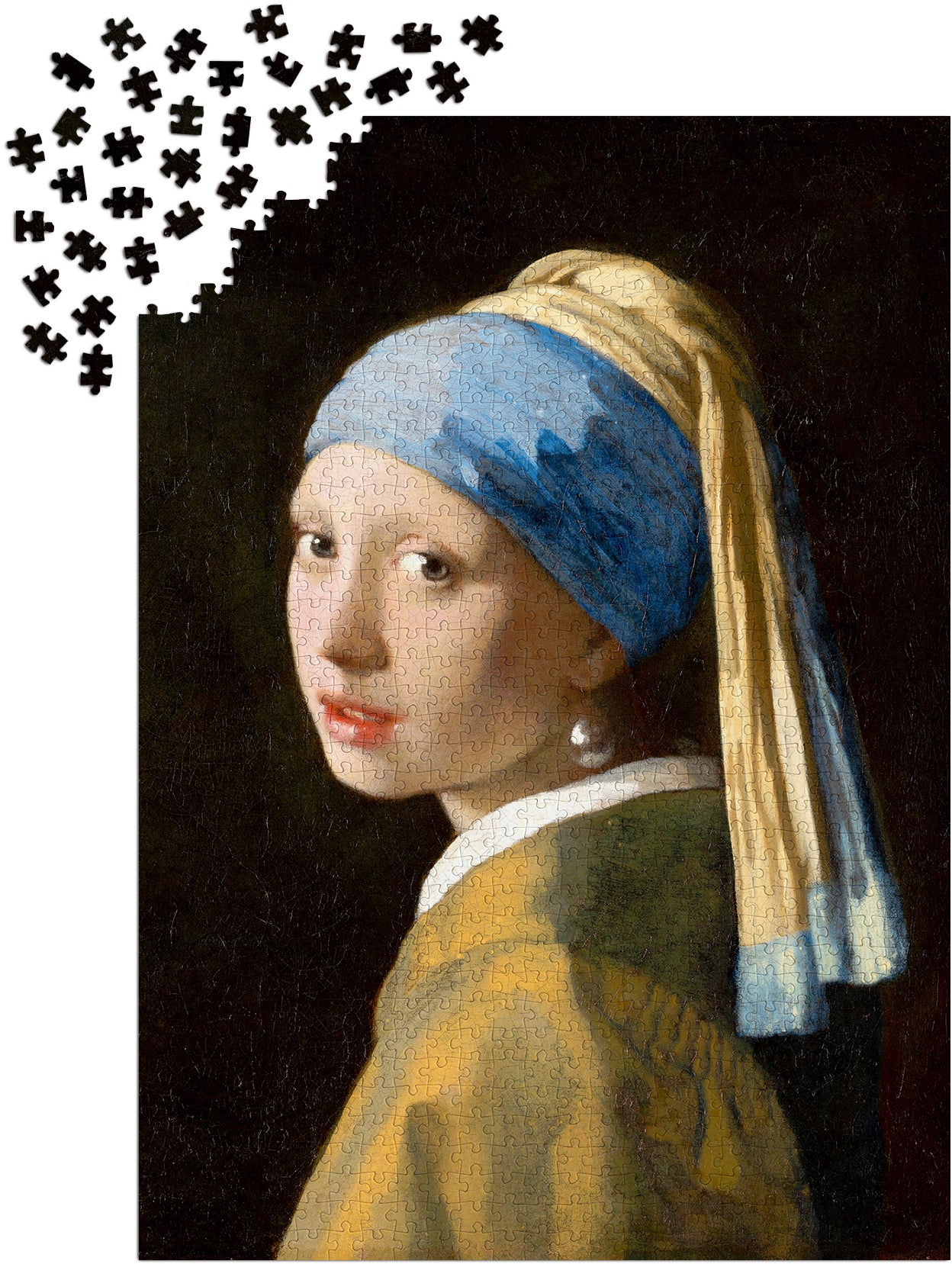 1000 Pieces Jigsaw Puzzle - Johannes Vermeer: Girl with a Pearl Earring (1164)