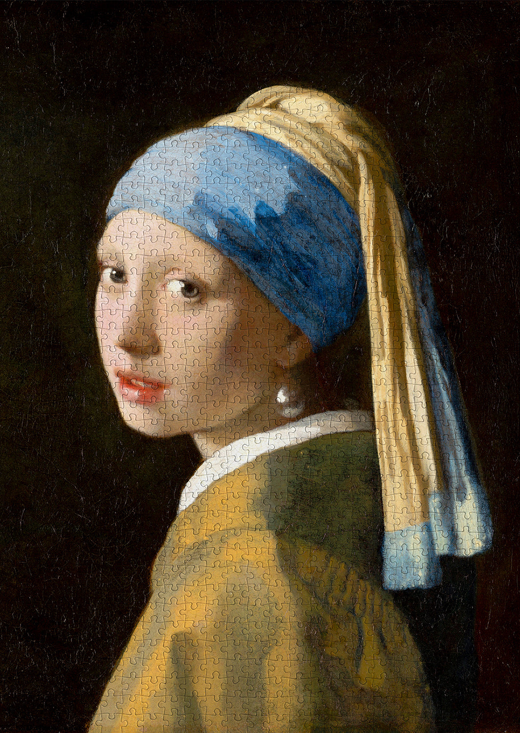 1000 Pieces Jigsaw Puzzle - Johannes Vermeer: Girl with a Pearl Earring (1164)