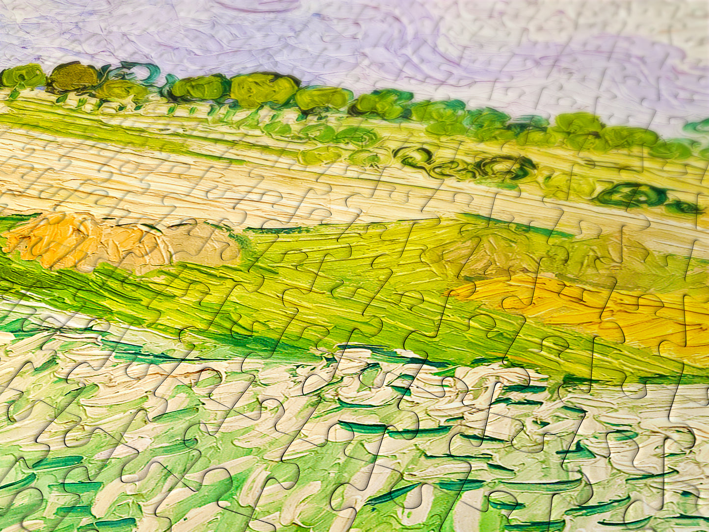 1000 Pieces Jigsaw Puzzle - Vincent Van Gogh: Plain near Auvers (1176)