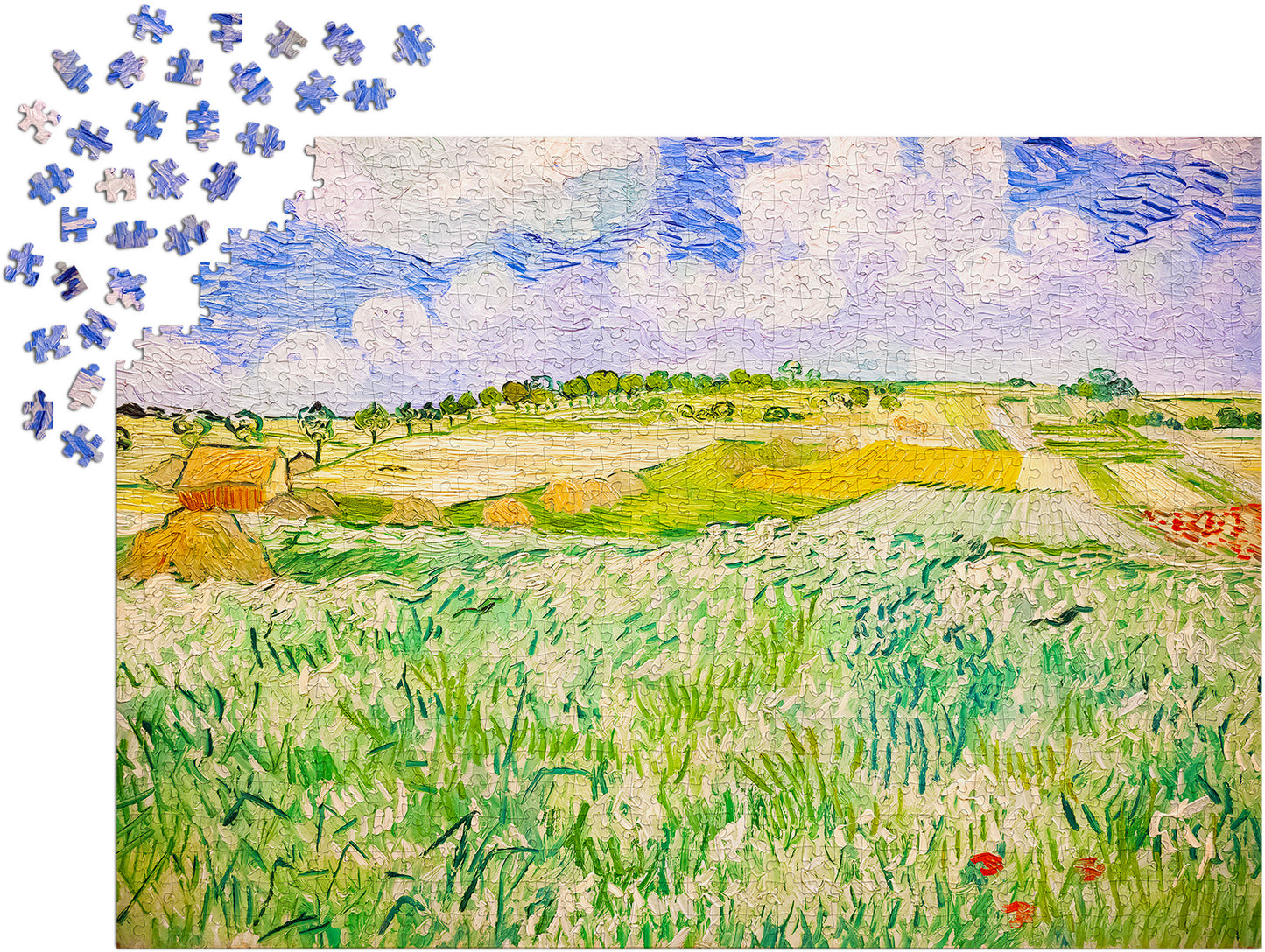 1000 Pieces Jigsaw Puzzle - Vincent Van Gogh: Plain near Auvers (1176)