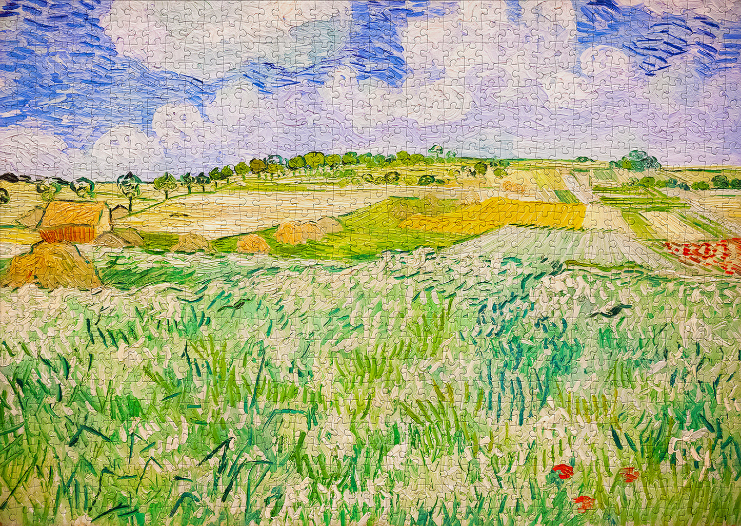 1000 Pieces Jigsaw Puzzle - Vincent Van Gogh: Plain near Auvers (1176)
