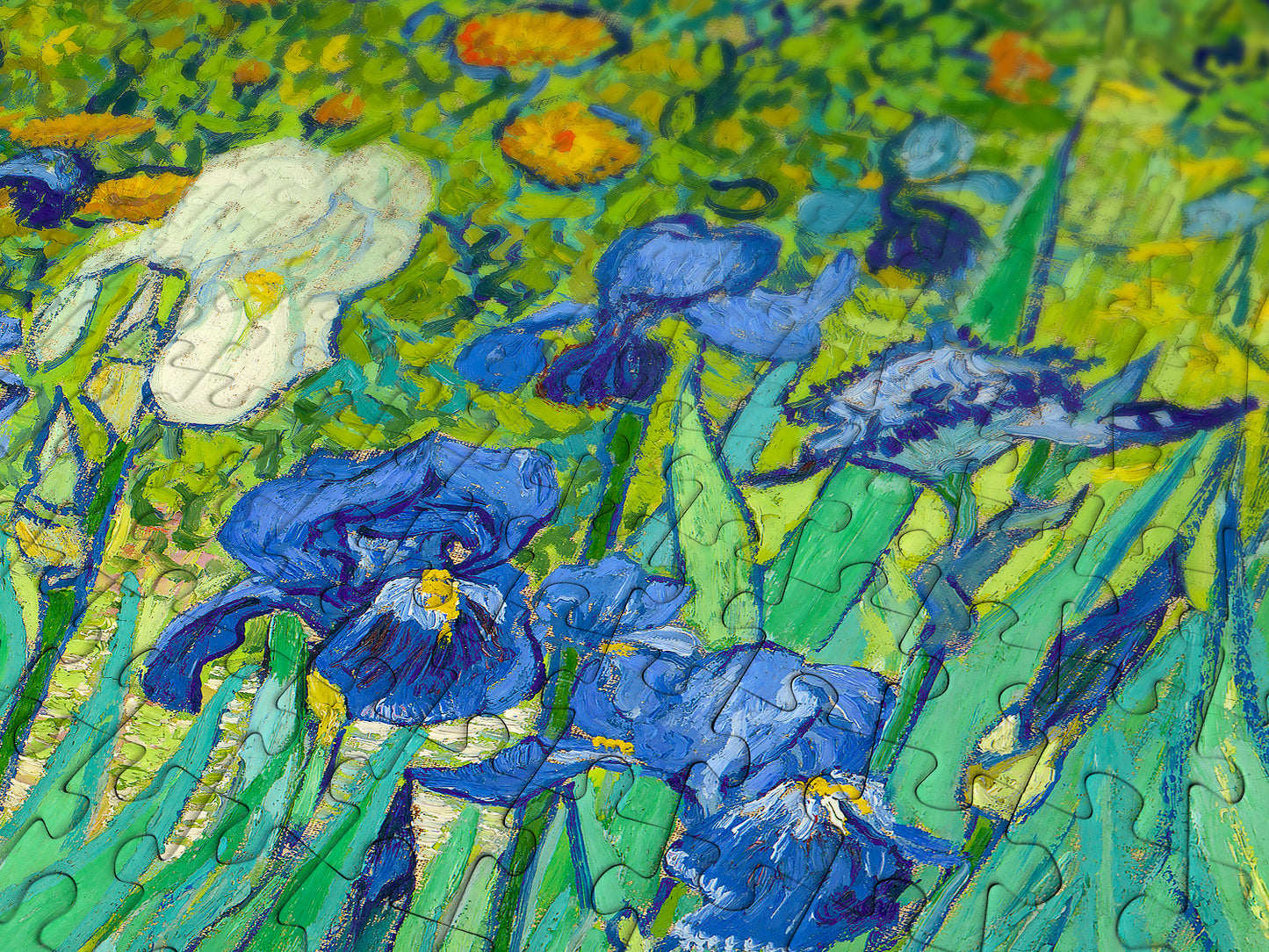 1000 Pieces Jigsaw Puzzle - Vincent Van Gogh: Irises (1185)