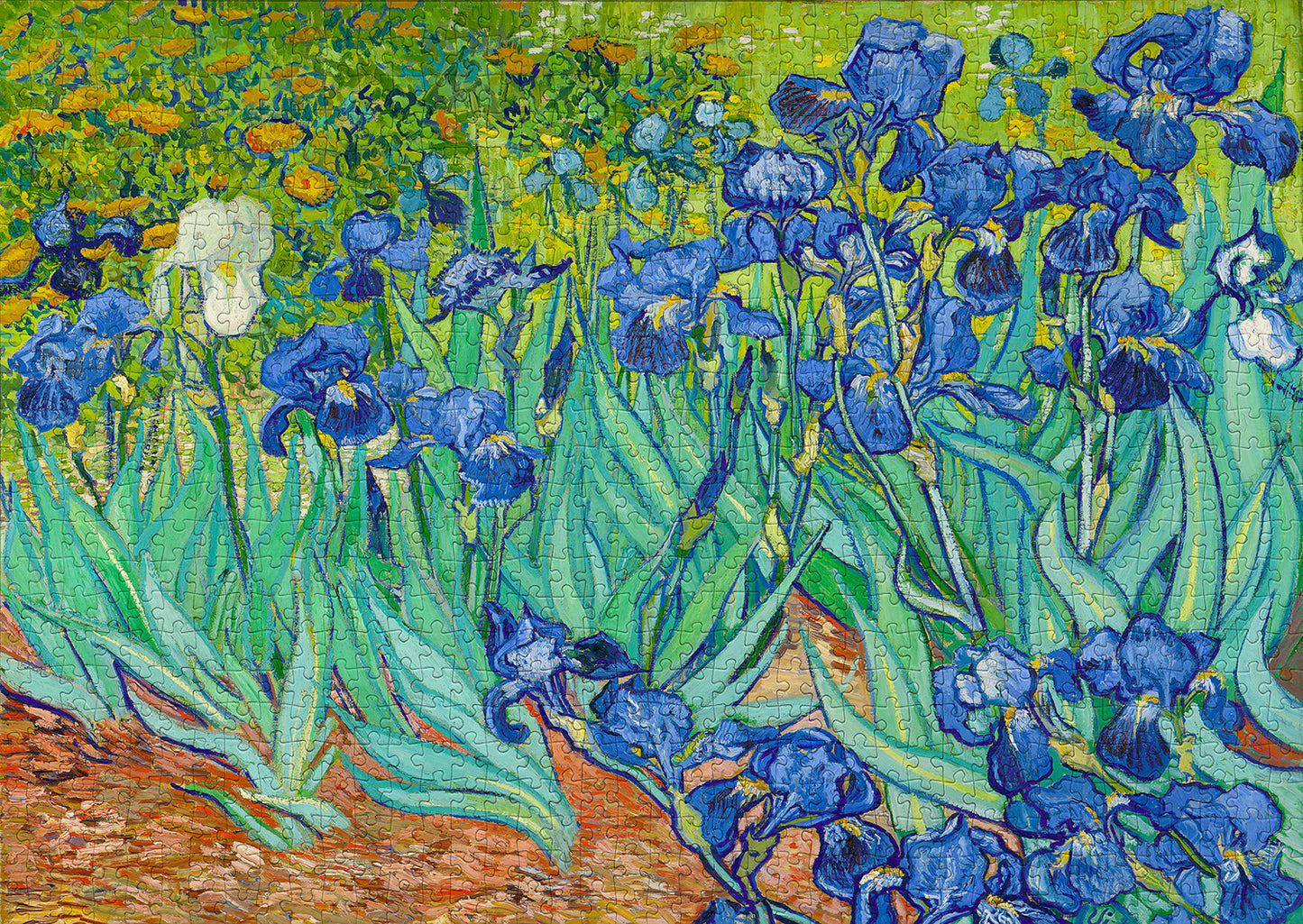 1000 Pieces Jigsaw Puzzle - Vincent Van Gogh: Irises (1185)