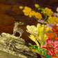 1000 Pieces Jigsaw Puzzle - Ferdinand Georg Waldmuller: Still Life with Fruits (1218)