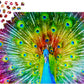 1000 Pieces Jigsaw Puzzle - Colorful Peacock (1251)