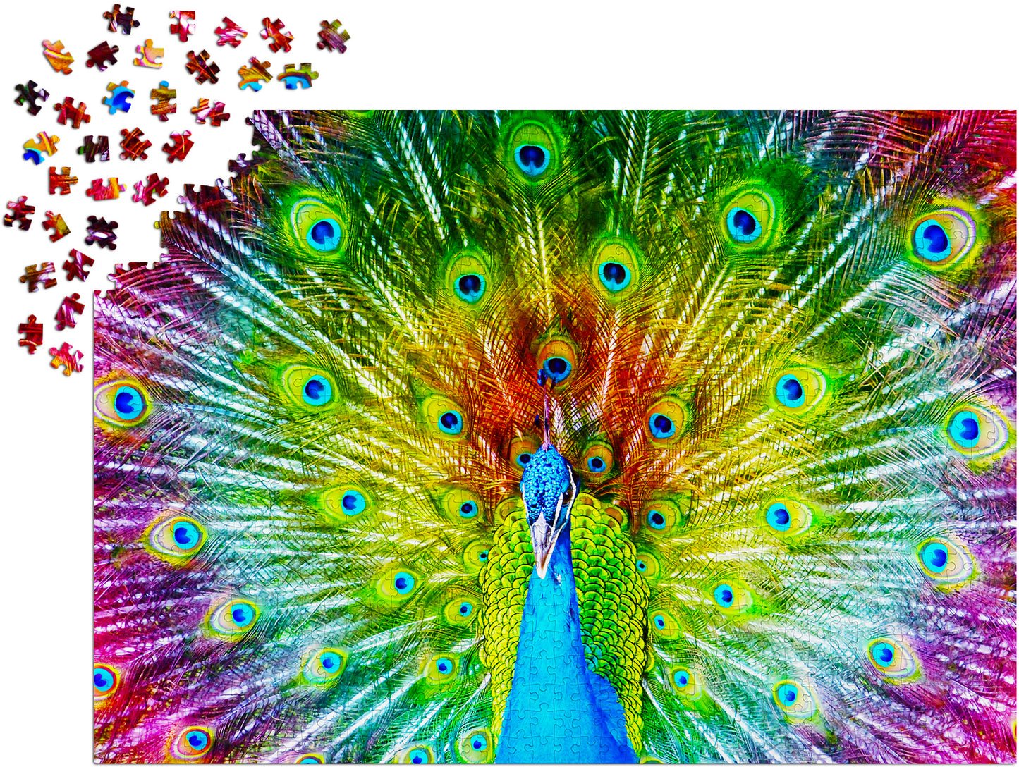 1000 Pieces Jigsaw Puzzle - Colorful Peacock (1251)