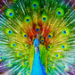 1000 Pieces Jigsaw Puzzle - Colorful Peacock (1251)
