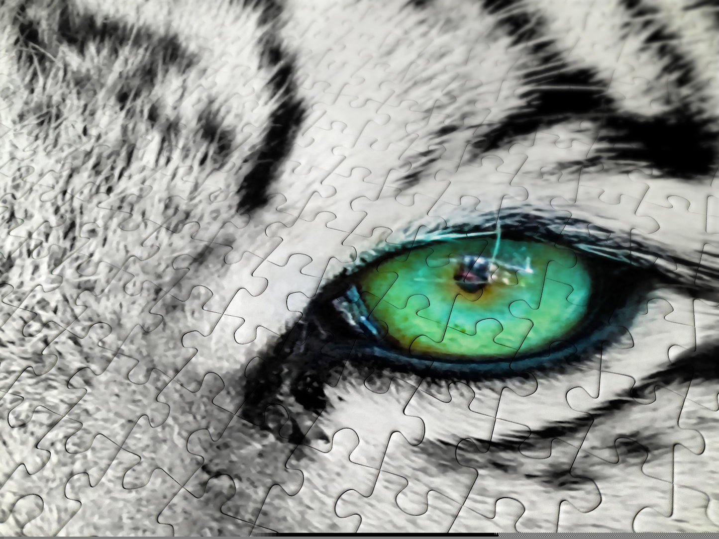 1000 Pieces Jigsaw Puzzle - White Siberian Tiger (1257)