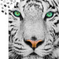 1000 Pieces Jigsaw Puzzle - White Siberian Tiger (1257)