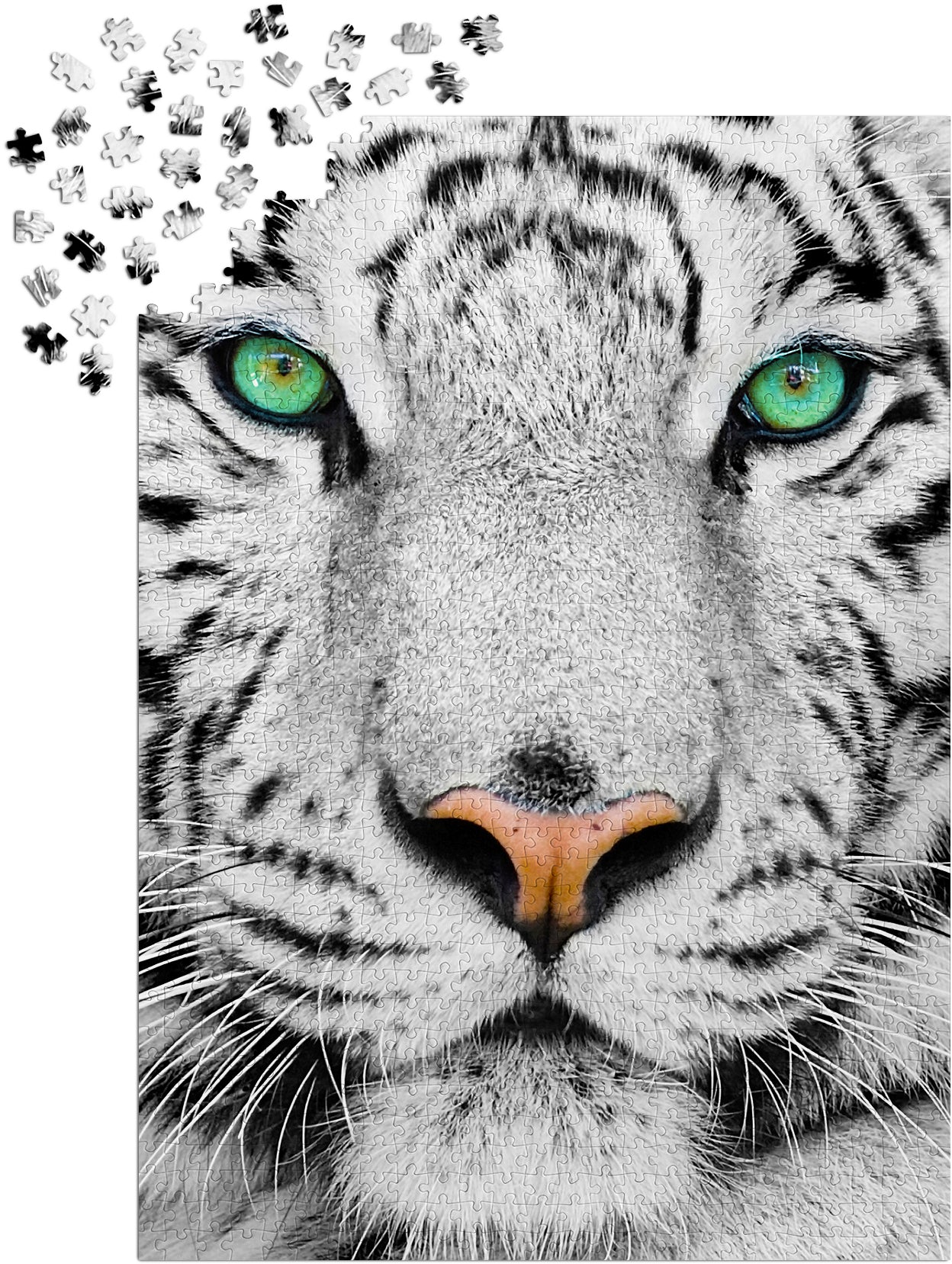 1000 Pieces Jigsaw Puzzle - White Siberian Tiger (1257)