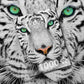 1000 Pieces Jigsaw Puzzle - White Siberian Tiger (1257)
