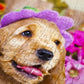 1000 Pieces Jigsaw Puzzle - Spaniel Puppies with Flower Hats (1263)