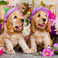 1000 Pieces Jigsaw Puzzle - Spaniel Puppies with Flower Hats (1263)