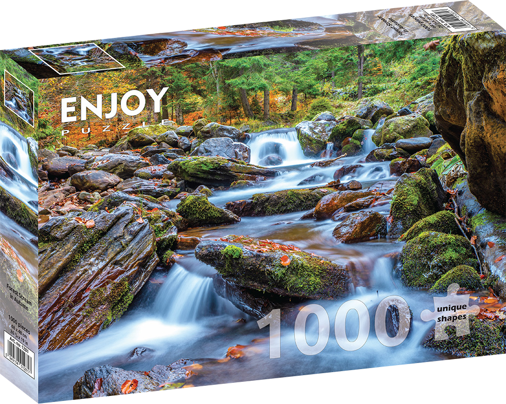 1000 Pieces Jigsaw Puzzle - Forest Stream in Autumn (1281)