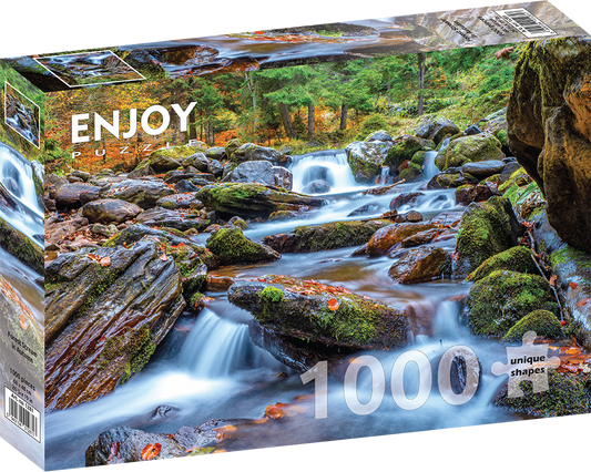 1000 Pieces Jigsaw Puzzle - Forest Stream in Autumn (1281)