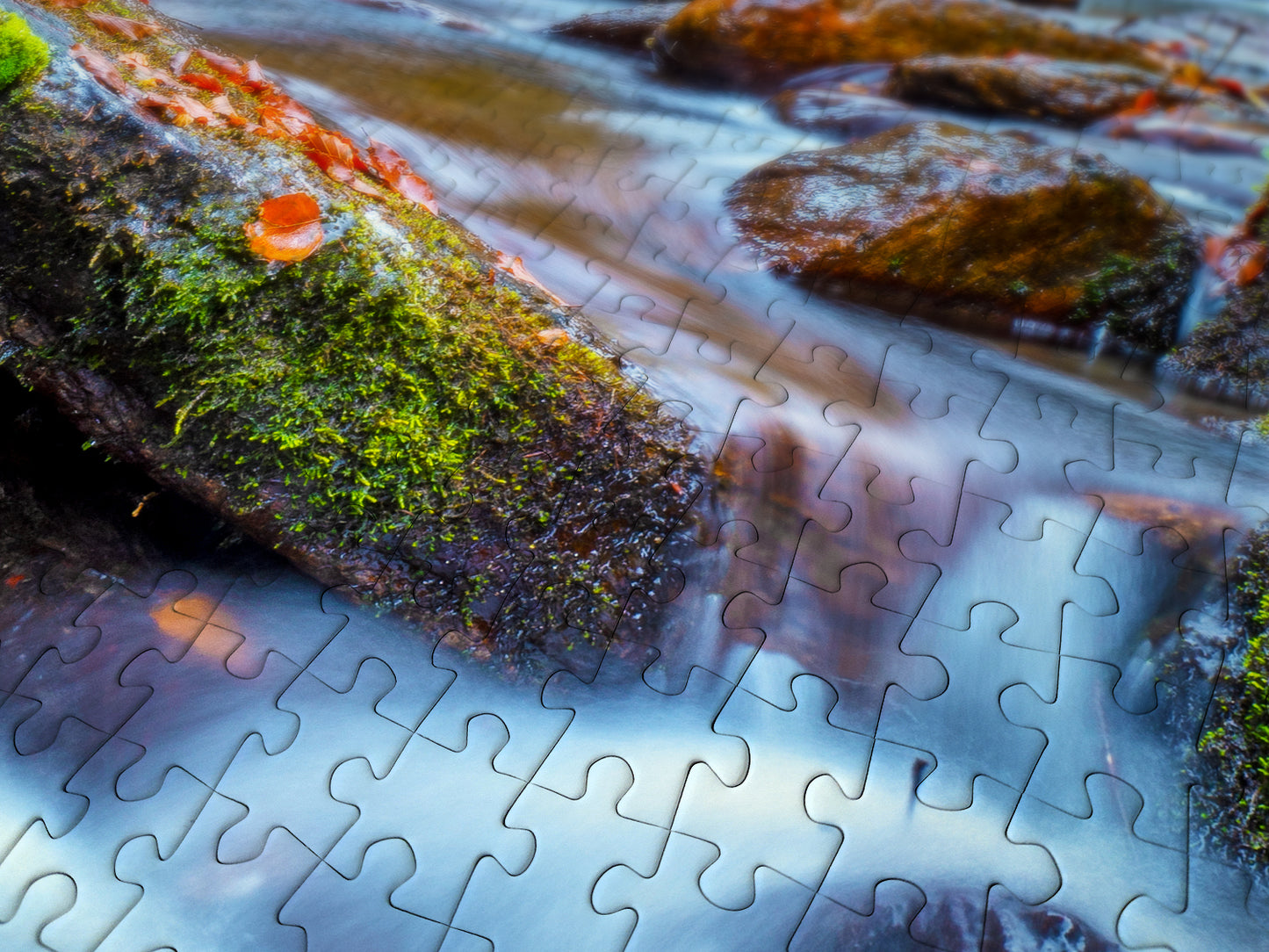 1000 Pieces Jigsaw Puzzle - Forest Stream in Autumn (1281)