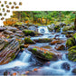 1000 Pieces Jigsaw Puzzle - Forest Stream in Autumn (1281)