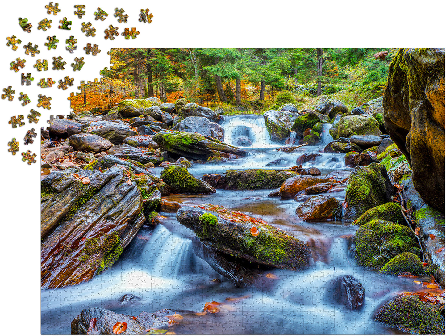 1000 Pieces Jigsaw Puzzle - Forest Stream in Autumn (1281)