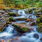 1000 Pieces Jigsaw Puzzle - Forest Stream in Autumn (1281)