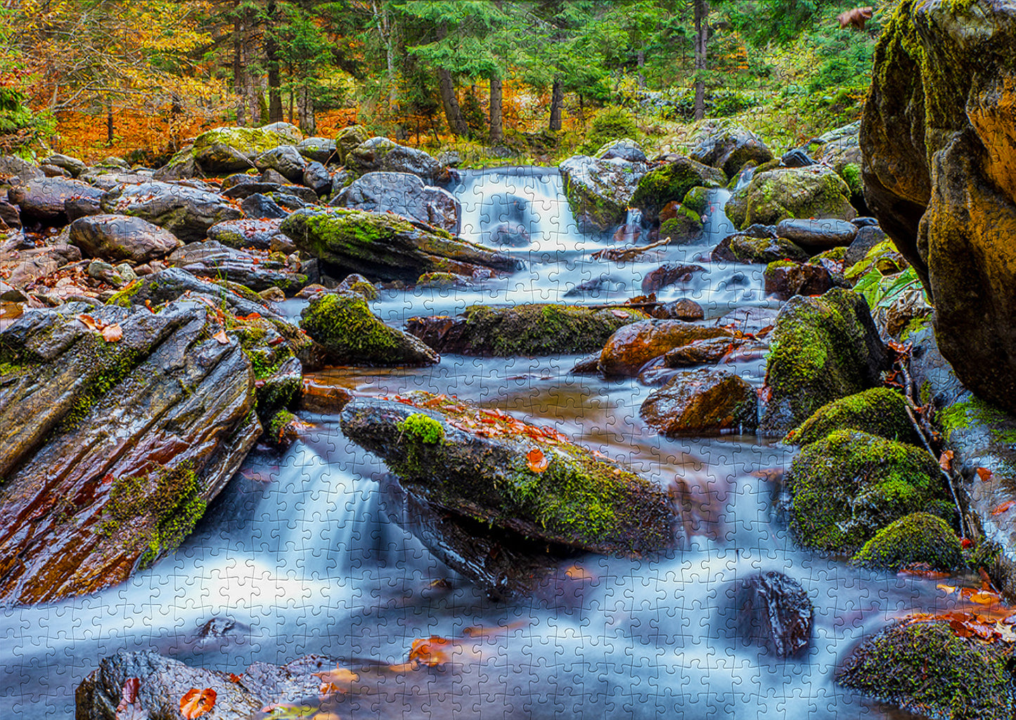 1000 Pieces Jigsaw Puzzle - Forest Stream in Autumn (1281)