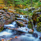 1000 Pieces Jigsaw Puzzle - Forest Stream in Autumn (1281)