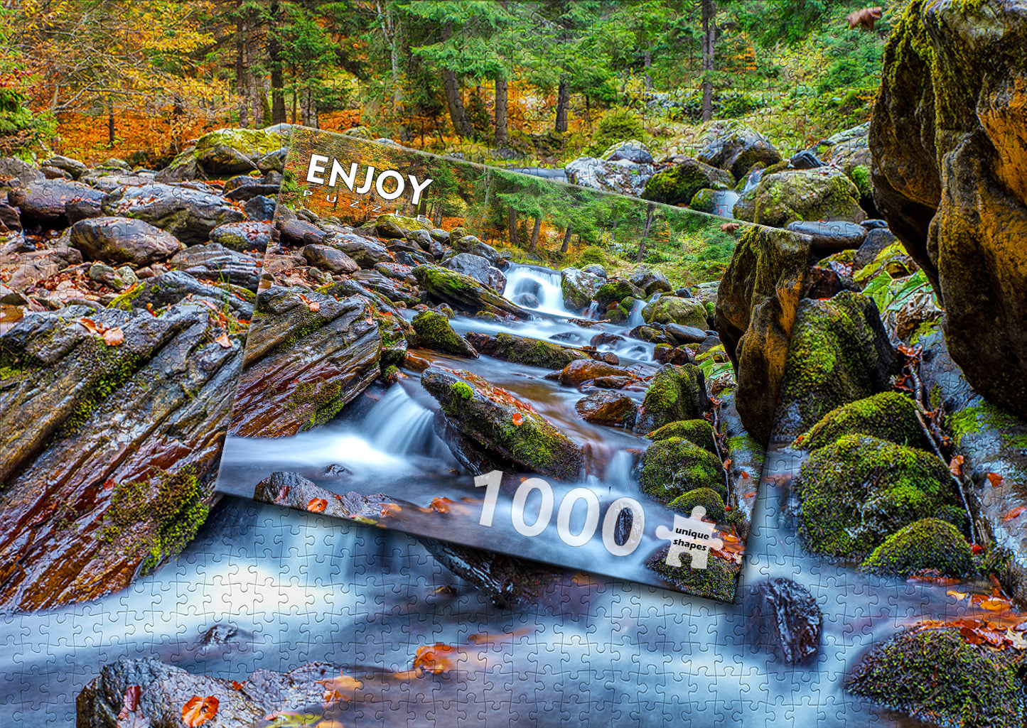 1000 Pieces Jigsaw Puzzle - Forest Stream in Autumn (1281)