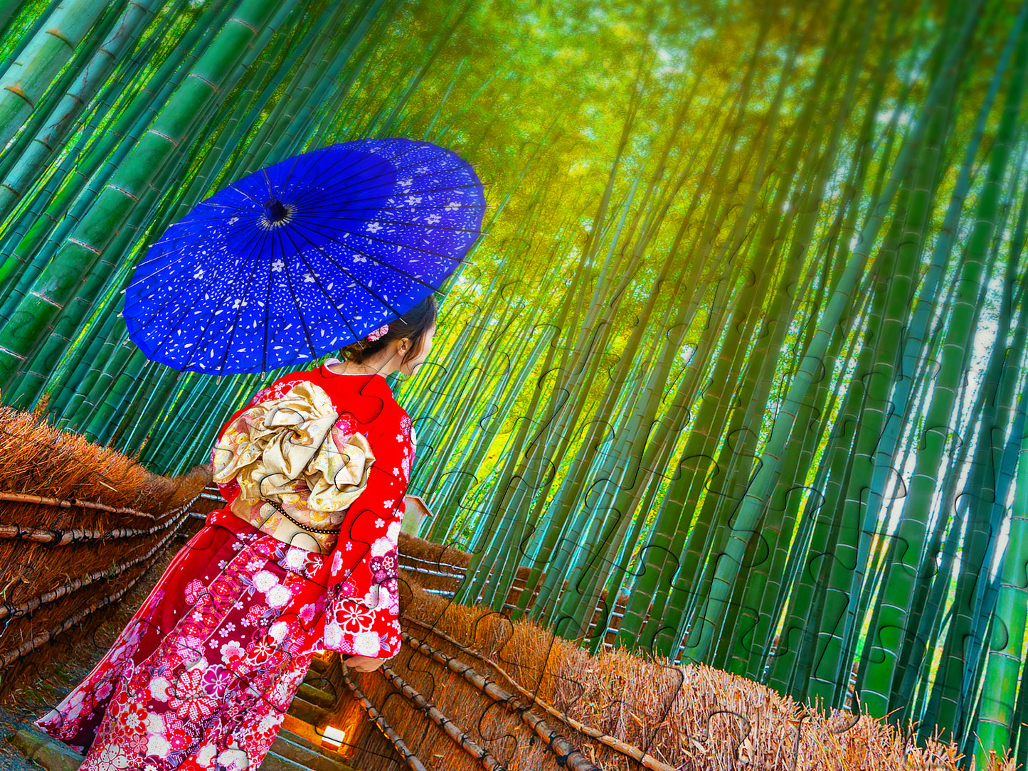 1000 Pieces Jigsaw Puzzle - Asian Woman in Bamboo Forest (1293)