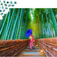 1000 Pieces Jigsaw Puzzle - Asian Woman in Bamboo Forest (1293)