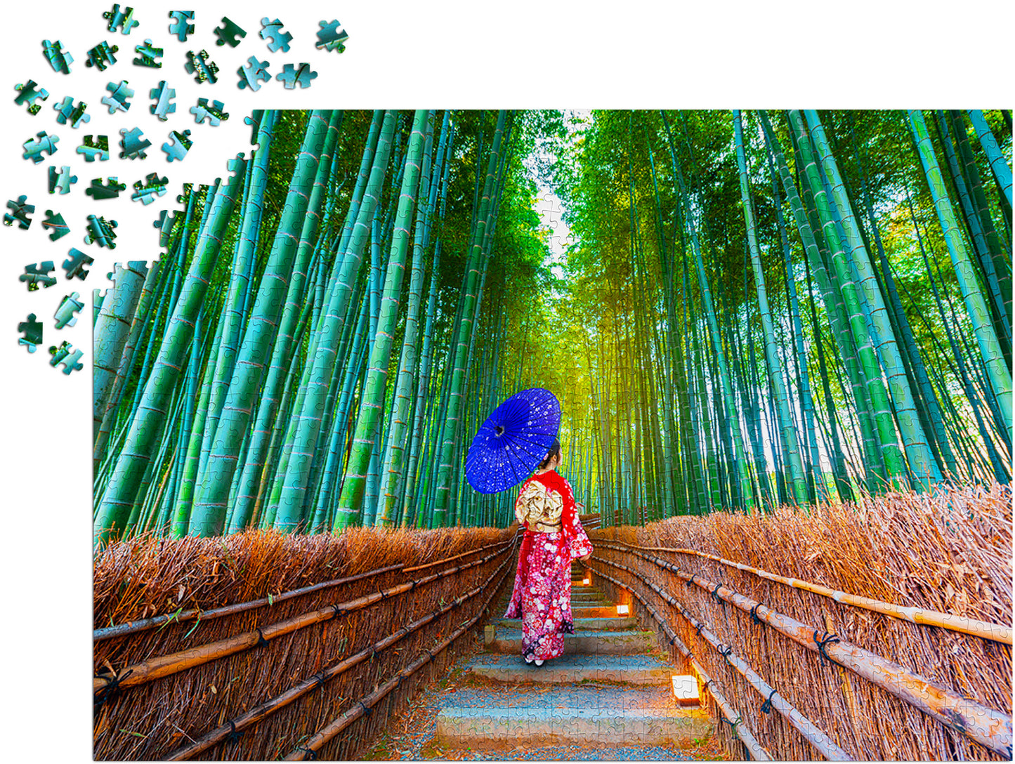 1000 Pieces Jigsaw Puzzle - Asian Woman in Bamboo Forest (1293)