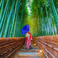1000 Pieces Jigsaw Puzzle - Asian Woman in Bamboo Forest (1293)
