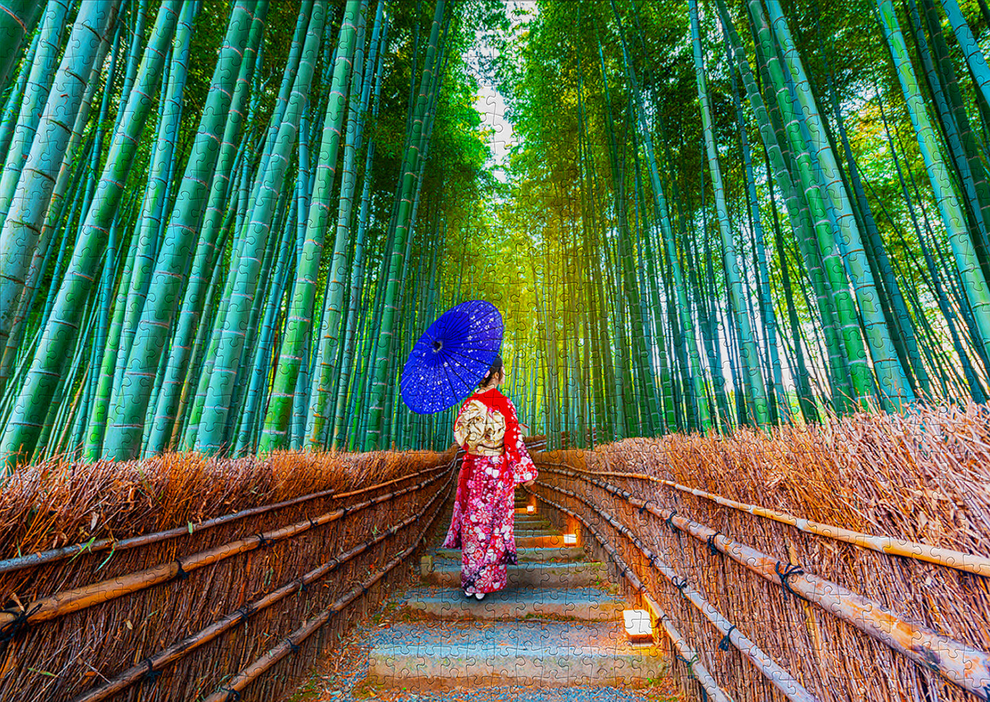 1000 Pieces Jigsaw Puzzle - Asian Woman in Bamboo Forest (1293)