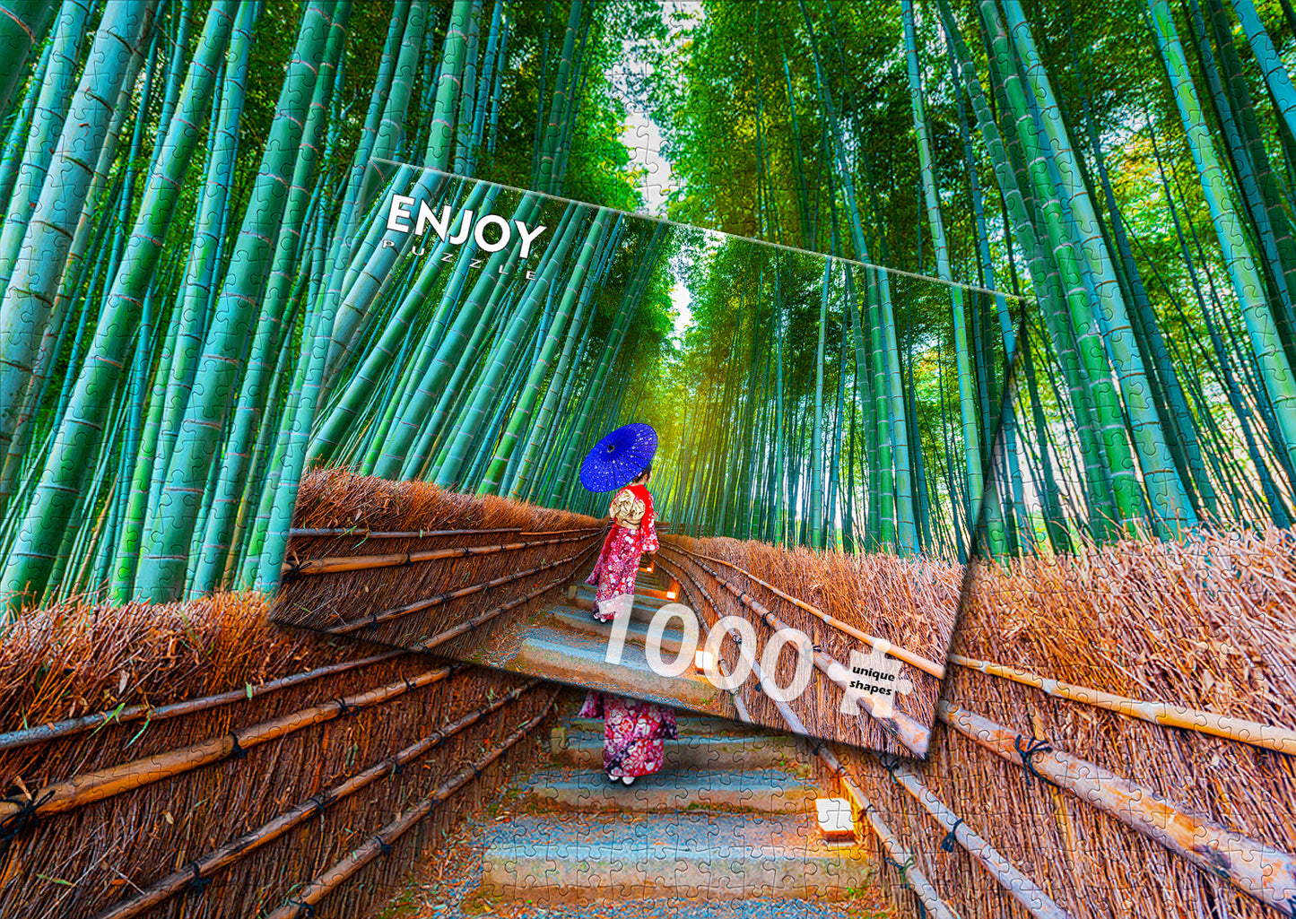 1000 Pieces Jigsaw Puzzle - Asian Woman in Bamboo Forest (1293)