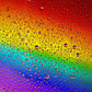 1000 Pieces Jigsaw Puzzle - Rainbow Drops (1296)