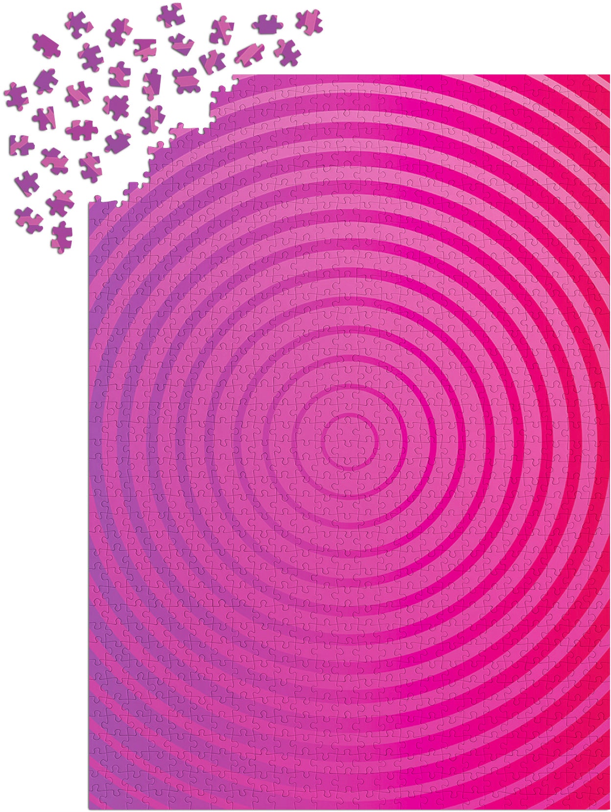 1000 Pieces Jigsaw Puzzle - Circle Gradient Number One (1302)