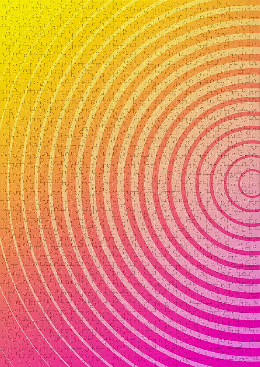 1000 Pieces Jigsaw Puzzle - Circle Gradient Number Two (1305)