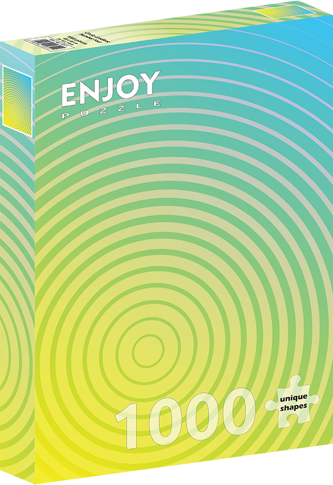 1000 Pieces Jigsaw Puzzle - Circle Gradient Number Four (1311)