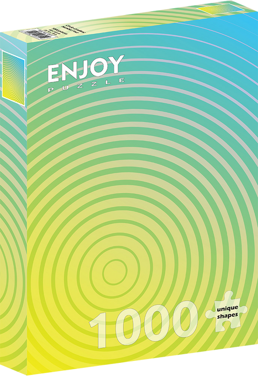1000 Pieces Jigsaw Puzzle - Circle Gradient Number Four (1311)