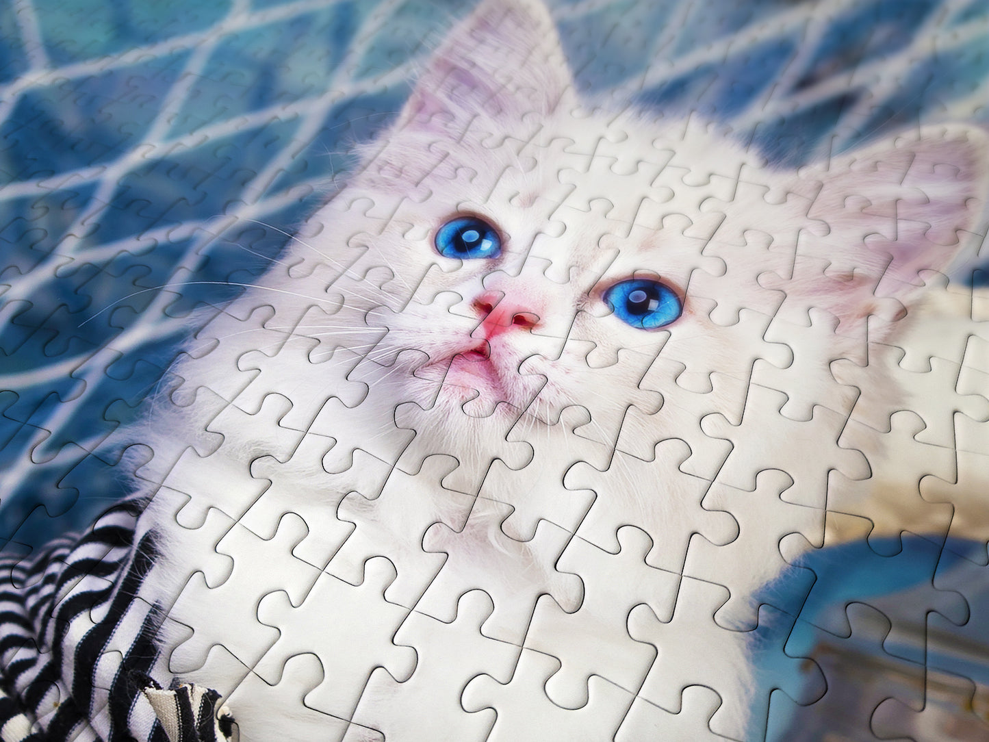 1000 Pieces Jigsaw Puzzle - Captain Kitten (1329)