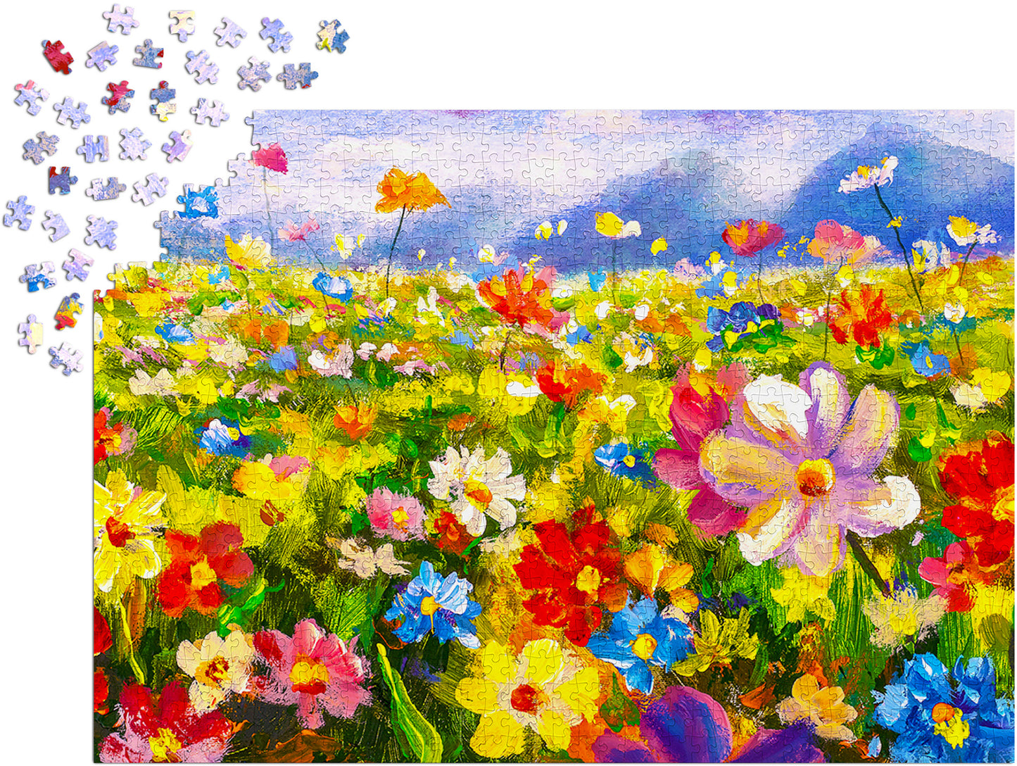 1000 Pieces Jigsaw Puzzle - Colorful Flower Meadow (1341)
