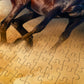 1000 Pieces Jigsaw Puzzle - Horses Running in the Desert (1356)