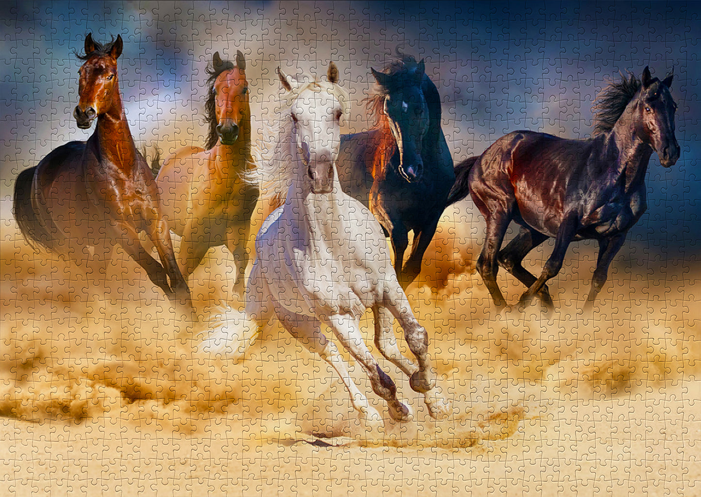 1000 Pieces Jigsaw Puzzle - Horses Running in the Desert (1356)