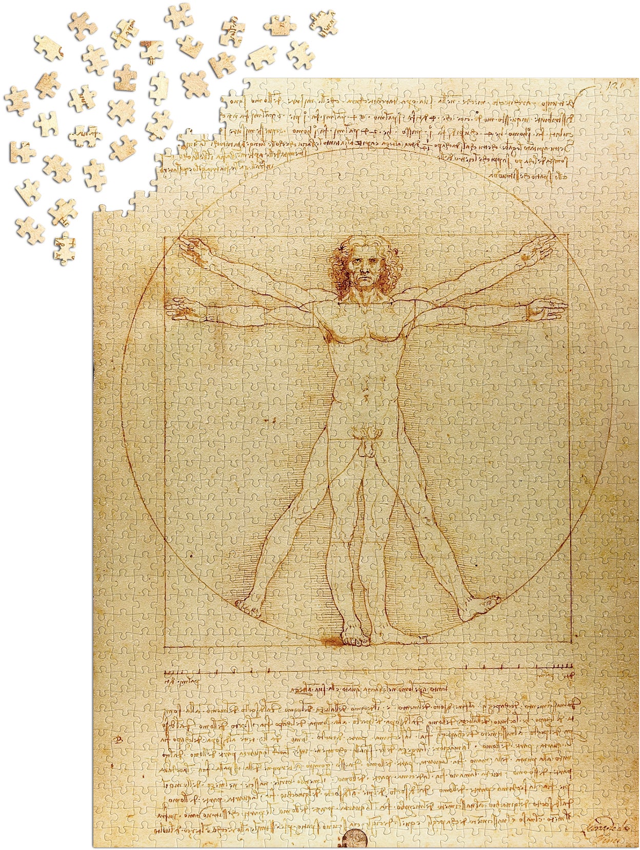 1000 Pieces Jigsaw Puzzle - Leonardo Da Vinci: The Vitruvian Man (1557)