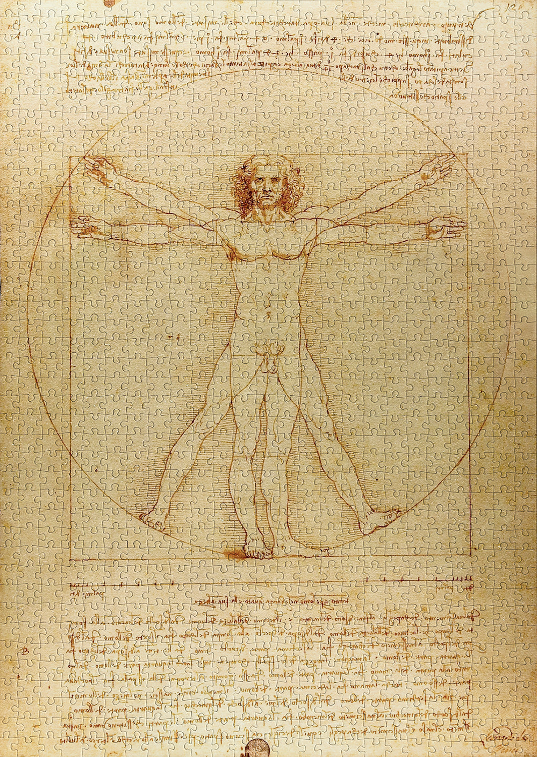 1000 Pieces Jigsaw Puzzle - Leonardo Da Vinci: The Vitruvian Man (1557)